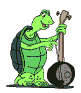 schildkroete